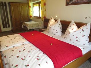 Appartement Hasenauer - Hollersbach im Pinzgau - 5