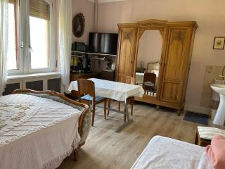 Chambre Gentiane 2 à 3 personnes wifi sdb partagée - Saint-Amarin - 7
