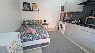 SMALL COZY STUDIO ZONE 1 LONDON - Londra - 8