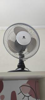 Le Nid du Rossignol - 5