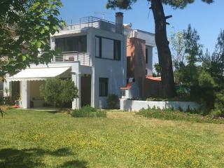 PETRA MARE VILLA - Kriopigi - 6