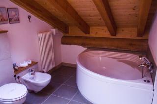 Ellex Eco Hotel - Gressoney-la-Trinité - 6