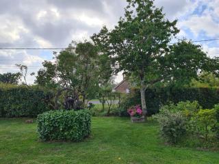La Fraise - Chaumont-sur-Tharonne - 4