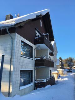 Haus Dulshorn Braunlage - Braunlage - 0