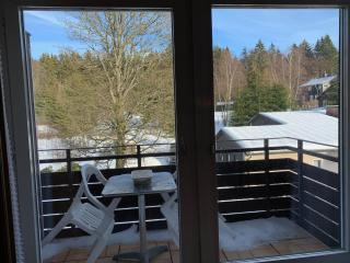 Haus Dulshorn Braunlage - Braunlage - 2