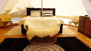 Intsu Royal Kadakametsa Glämp - 5