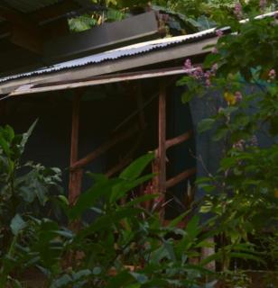 Corcovado Guide House - Barrigones - 9