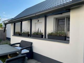 Lavender Garden Apartment - 2