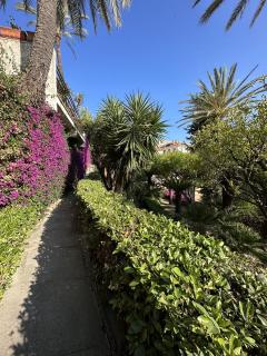LE ROSE DI EMMA - Bordighera - 3