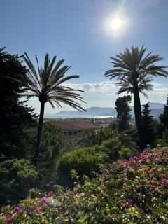 LE ROSE DI EMMA - Bordighera - 1