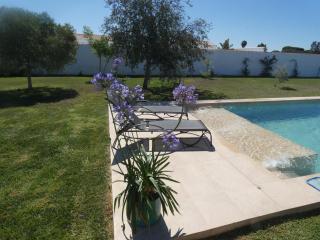 Villa Olivia con Piscina, Jardin y Parking - 5