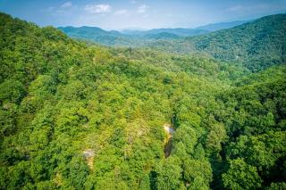 Pooh Bear, Hot Tub, WIFI, 560 FREE tickets each paid day!!! - Sevierville - 0