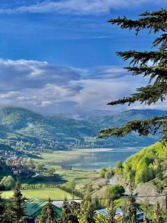 LAKEVIEW Hotel & Apartments - Mavrovo - 8