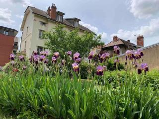 Logement tout confort avec jardin proche centre - Besançon - 2