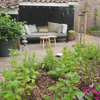 CityCottage Alkmaar - Alkmaar - 9