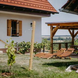 Weinberg Chalet Kokumandl - Winten - 7