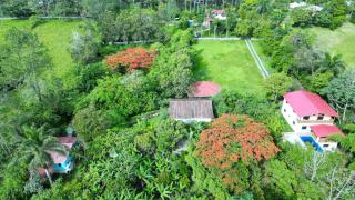 Haus unter Palmen - Jarabacoa - 8