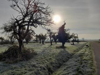 Badischer Neubau-Ruhe-Kunst-Natur - 7