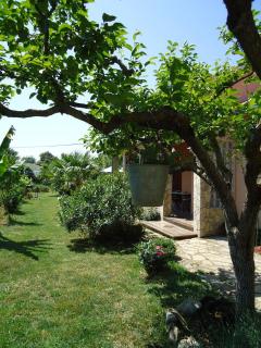 Studio Apartment Nera - Rovinj - 3