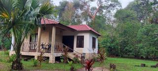 Tu Casa en la Selva Lacandona - 7