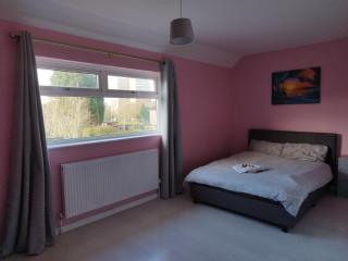 Pace home - Bristol - 3
