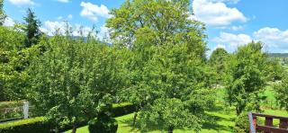 Apartman Marija Brajdic - Rakovica - 9