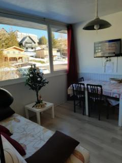 BEL APPARTEMENT SUPER BESSE - Besse-et-Saint-Anastaise - 9