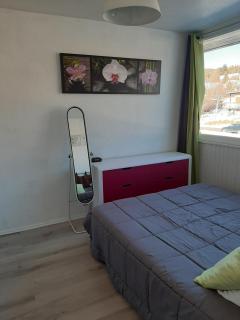 BEL APPARTEMENT SUPER BESSE - Besse-et-Saint-Anastaise - 4