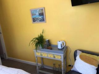 Light airy comfy small double room with en-suite - Falmouth - 3