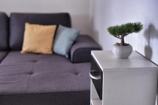 Nelly Apartment - Rijeka - 4