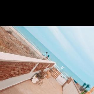 La Mata primera línea de playa - Torrevieja - 8