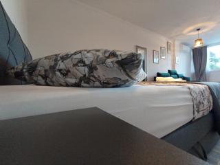 Studio Apartment Blue Pine - 5