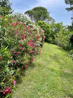 Gites au Château des Estubiers - 7