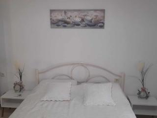 Apricot garden - 6