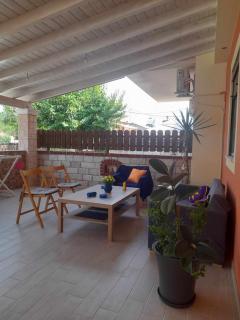Apricot garden - 3