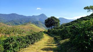 Hospedagem Bangalô Patrimônio da Penha - 7