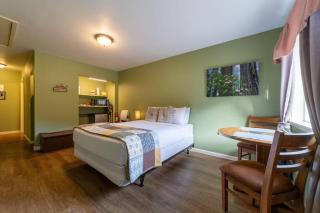 Elk Meadow Cabins 9B Prairie Creek - Single Room - Orick - 5