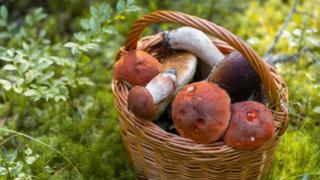 Im Spiss - Macugnaga - 1