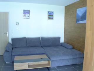 Appartement Neuf 2 Pièces avec Terrasse et Parking - Résidence de Standing entre Samoëns et Morillon - FR-1-629-128 - Samoëns - 7
