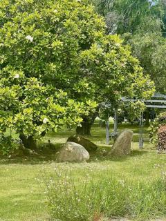 MAGNOLIA HOUSE ON THE CREEK - STANTHORPE - 2