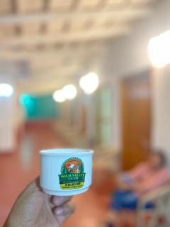 Wild Valley Club - Masinagudi - 1