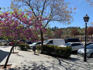 Vega del Tajo- CON PARKING GRATIS - Toledo - 8