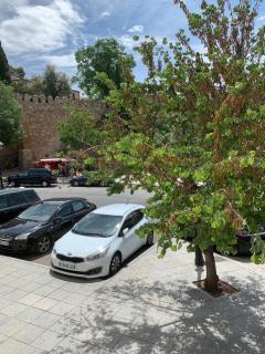 Vega del Tajo- CON PARKING GRATIS - Toledo - 9