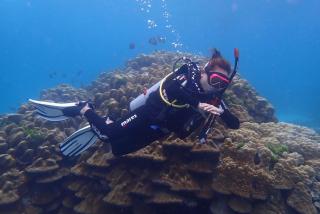 Ban Raya Resort and Spa - Ko Racha Yai - 7