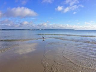 DünenResort Binz - Apt. 3.6 - Binz - 5