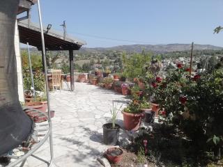 Despina country retreat - Paphos - 6