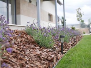 ADELINA Apartman - - 4