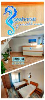 SeaHorse GuestHouse - Năvodari - 0