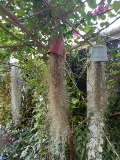 The gardens, one family at a time - Tse Ado - Accra - 2