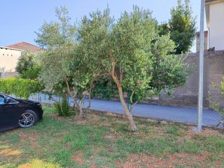 Apartmani Malo more Seline - Seline - 5